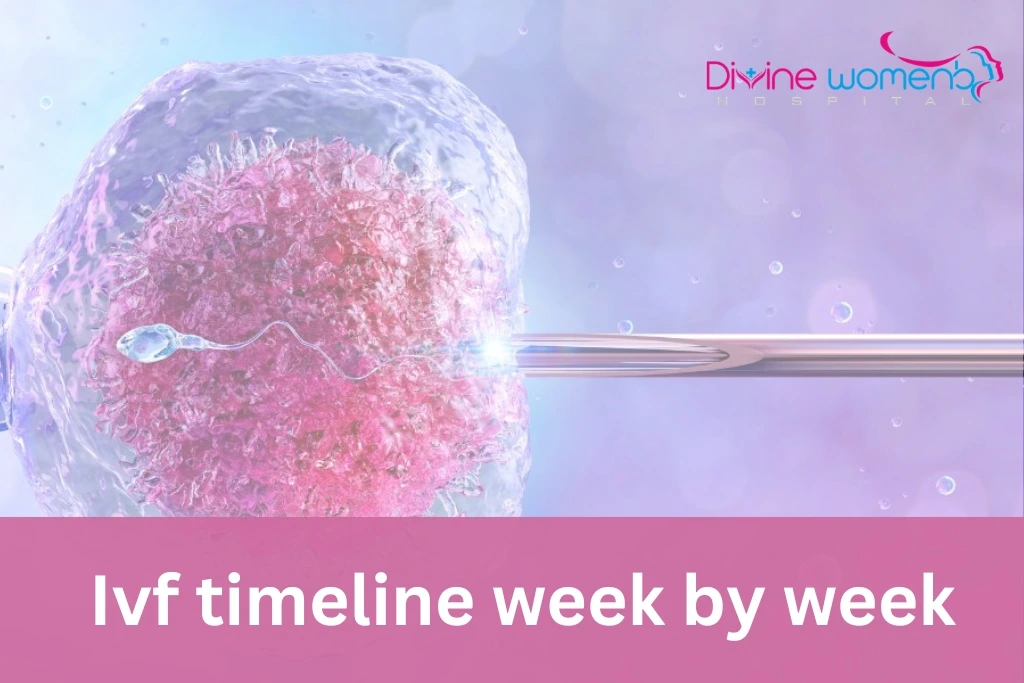 Ivf-timeline-week-by-week