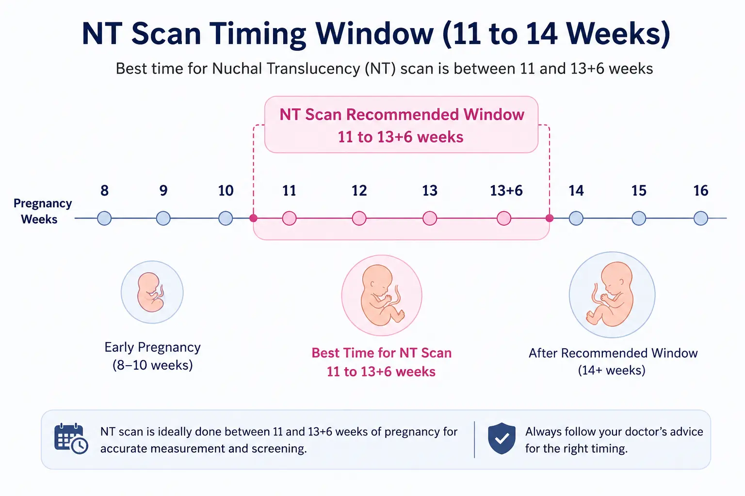 NT scan timing window 11 to 14 weeks